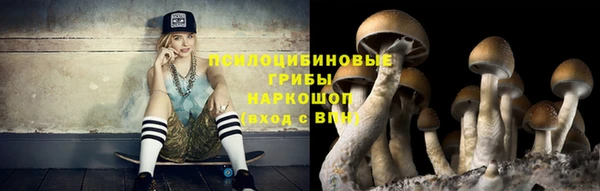 марки lsd Бородино