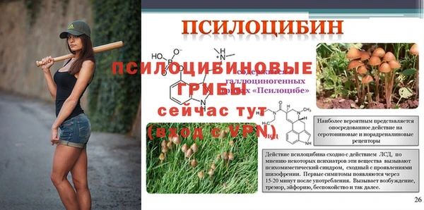марки lsd Бородино