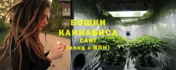 марки lsd Бородино