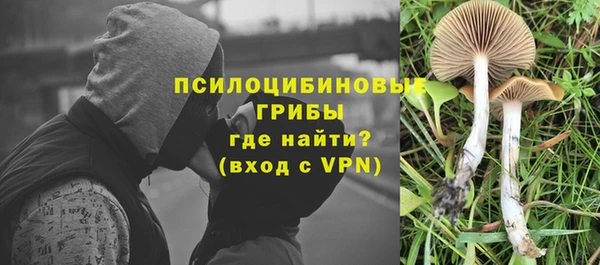 марки lsd Бородино