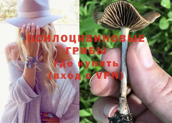 марки lsd Бородино