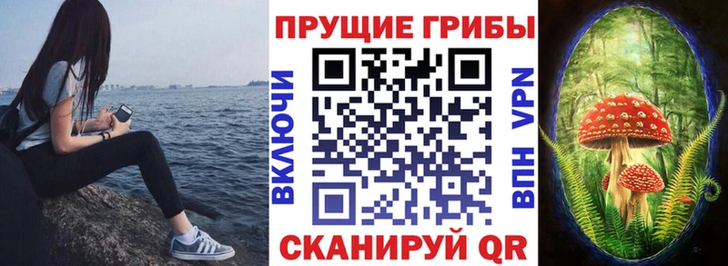 Галлюциногенные грибы Psilocybe  Городец 